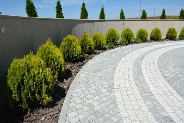 Best Custom Driveway Pavers  in Ashford, AL